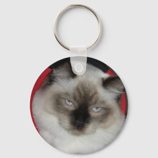 2009_12090051 KEY RING