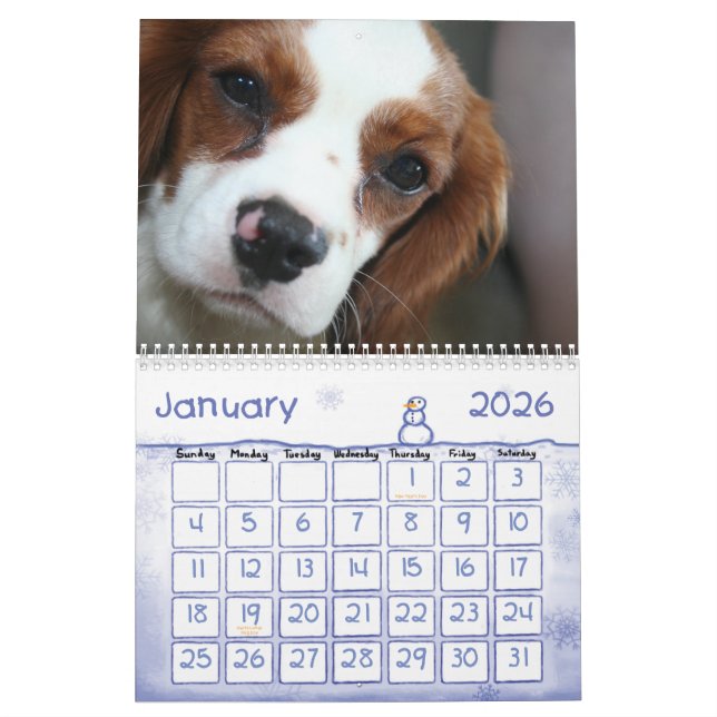 2009-2010 Cavalier King Charles Spaniel Calendar (Jan 2026)