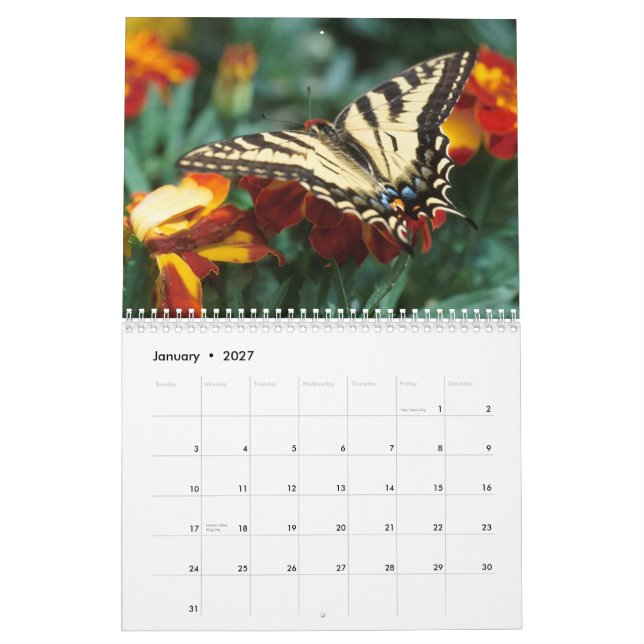 2009 Butterflies Calendar (Jan 2027)