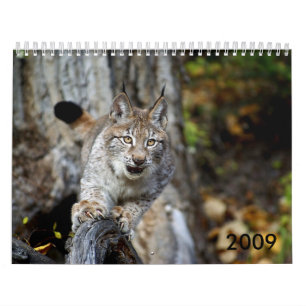 2009 Calendar