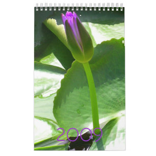 2009 Calendar
