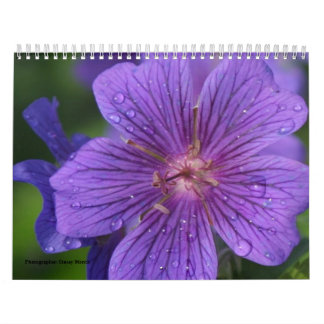 2009 Calendar photgraphed by Stacey Morris