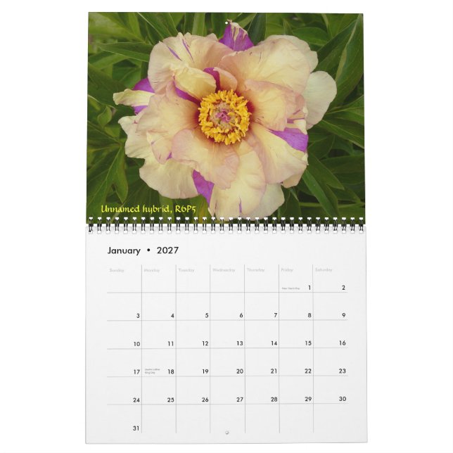 2009 Intersectional Peony Calendar - Customised (Jan 2027)