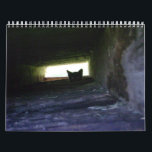 2009 Loving the Feral Soul Inc. Feral Cat Calendar<br><div class="desc">Beautiful photography depicting feral cats in their natural habitat or rescued and socialised. Photos were taken from my feral cat colony at home. Proceeds of the calendar sales go towards the care,  feeding,  vet bills,  and TNR of feral cats.</div>