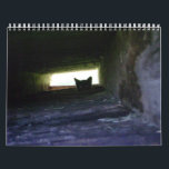 2009 Loving the Feral Soul Inc. Feral Cat Calendar<br><div class="desc">Beautiful photography depicting feral cats in their natural habitat or rescued and socialised. Photos were taken from my feral cat colony at home. Proceeds of the calendar sales go towards the care,  feeding,  vet bills,  and TNR of feral cats.</div>
