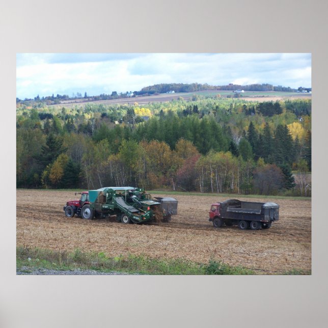 2009_Maine_Autumn_169 Poster (Front)
