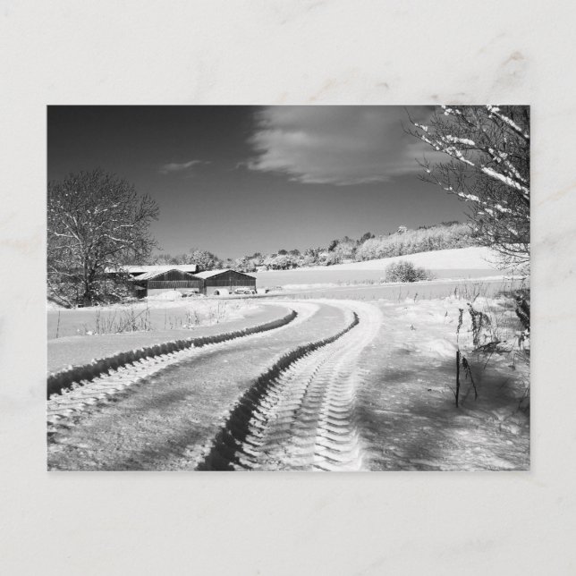 2010-01-07_12.25.10 - Snowed Farm on Fox Hill Lane Postcard (Front)