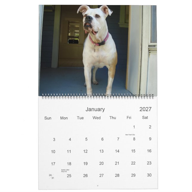 2010 American Bulldog Calendar (Jan 2027)