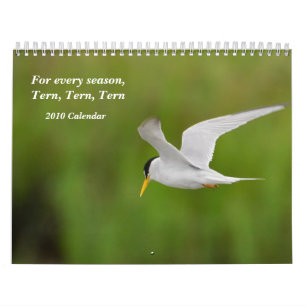 2010 Bird Calendar