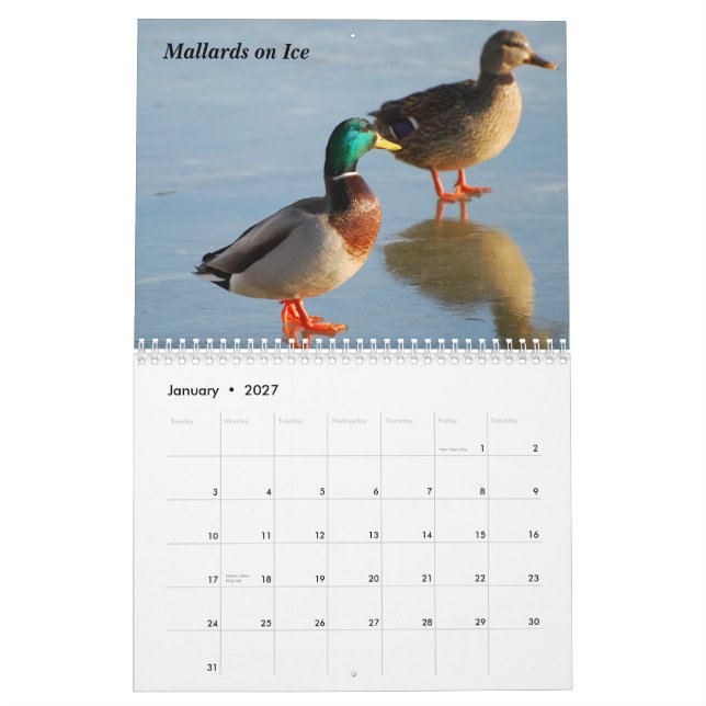 2010 Bird Calendar (Jan 2027)