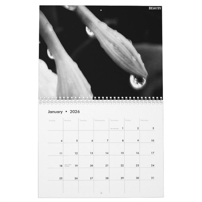 2010 Black and White Calender Calendar (Jan 2026)