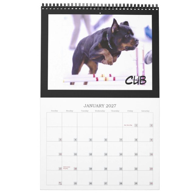 2010 C Litter Calendar (Jan 2027)