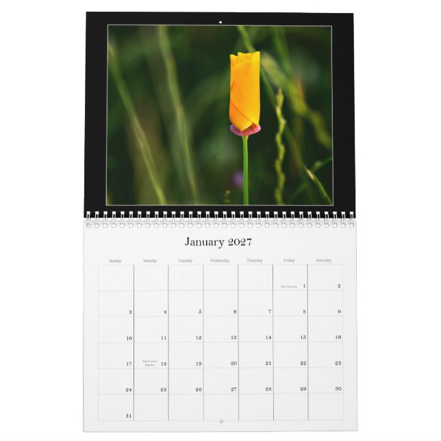 2010 Colour Photography Calendar (Jan 2027)