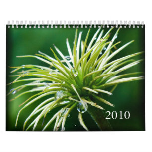 2010 Colour Photography Calendar