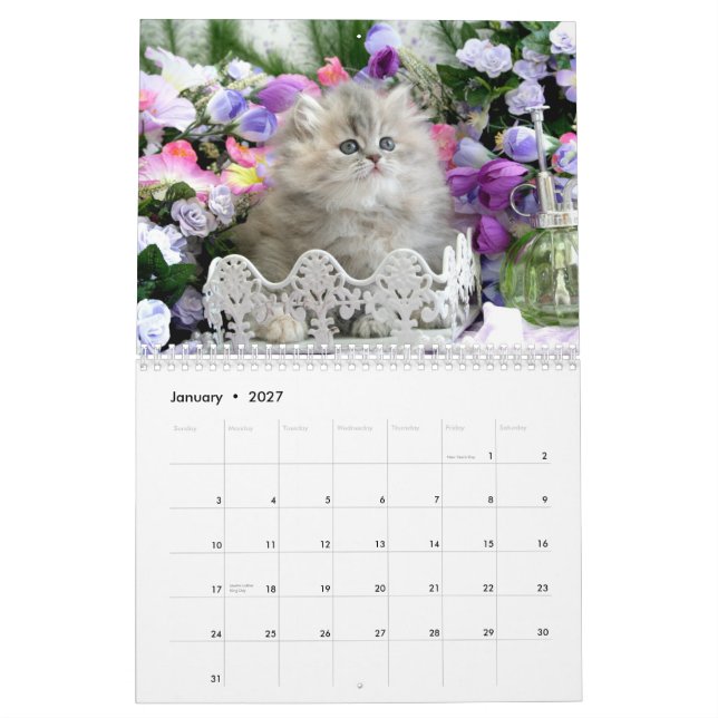 2010 Cosy Kittens Calendar - Customised (Jan 2027)