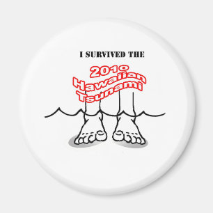 2010 Hawaiian Tsunami Magnet
