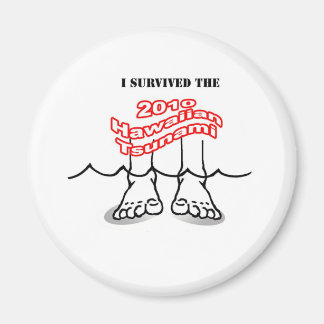 2010 Hawaiian Tsunami Magnet