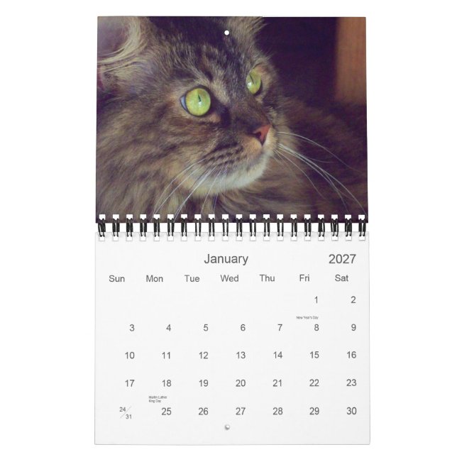 2010 Maine Coon Calendar (Jan 2027)