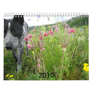2010 Nature Calendar