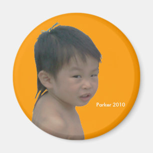 2010 Punk Magnet