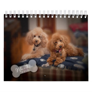 2010 Toy Poodle Calendar