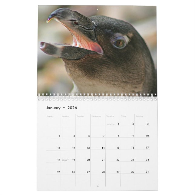 2011 Animal Calendar created by Aremac Gallery (Jan 2026)