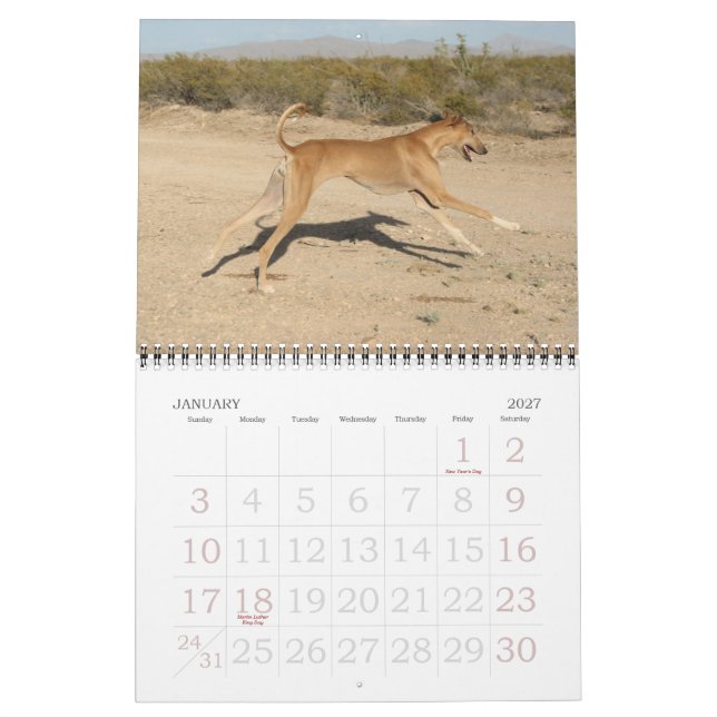 2011 Azawakh Calendar (Jan 2027)