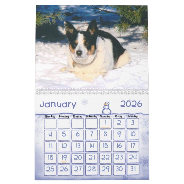 2011 Border Collie Calendar (Jan 2026)