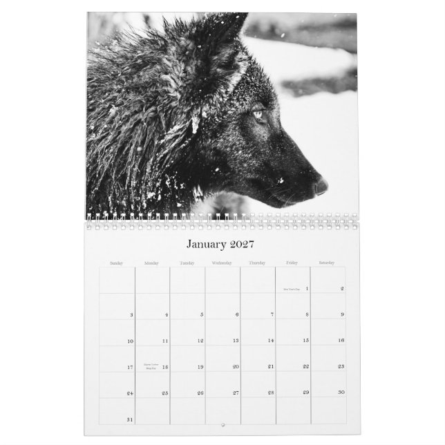 2011 Calendar (Jan 2027)