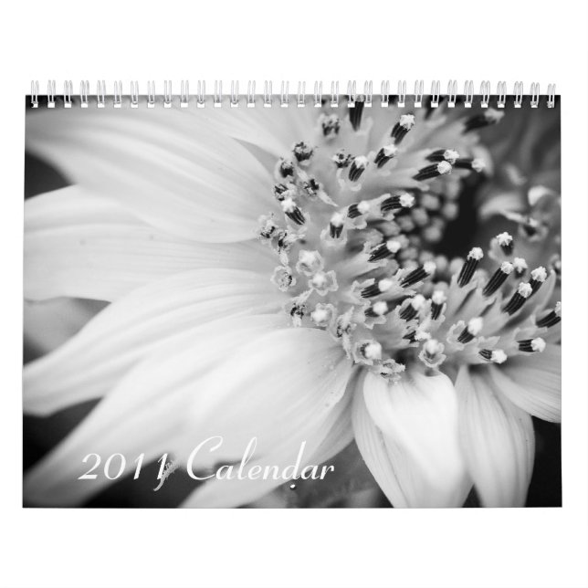 2011 Calendar - Black and White (Cover)
