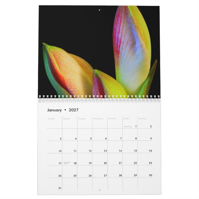 2011 Calendar - Flowers (Jan 2027)