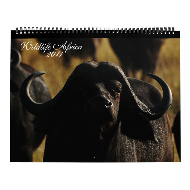 2011 Calendars African animals- Huge size (Cover)