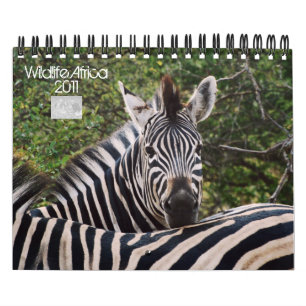 2011 Calendars - Wildlife Africa - small size