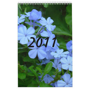 2011 Calender Calendar