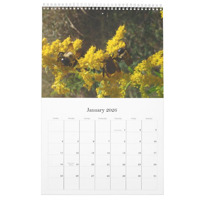 2011 Calender Calendar (Jan 2026)