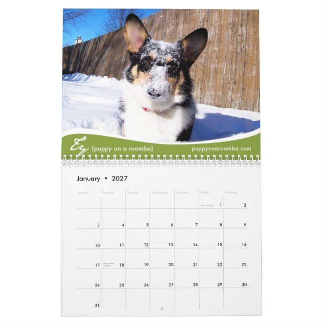 2011 Corgis (with blogs) Wall Calendar (Jan 2027)