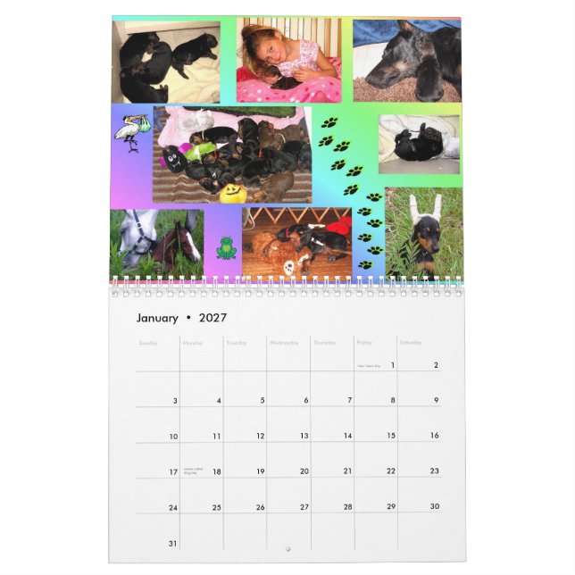 2011 Dobedience Calendar #2 (Jan 2027)