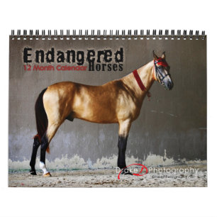 2011 Endangered Horse Breeds Calendar