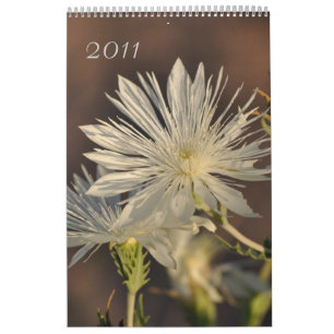 2011 Floral Calendar