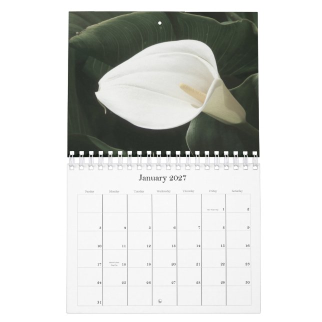 2011 Florals Calendar (Jan 2027)