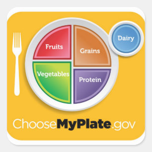 2011 Food Pyramid Choose My Plate sticker
