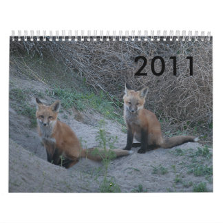 2011 Fox Calendar