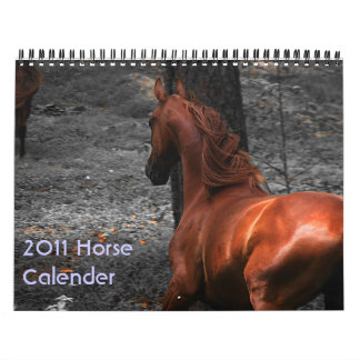 2011 Horse Calender Calendar