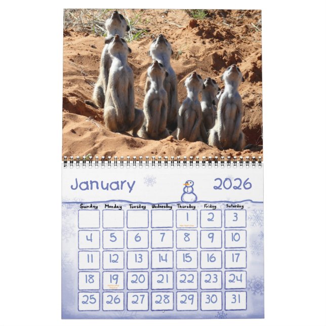 2011 KMP Meerkats Calendar (Jan 2026)