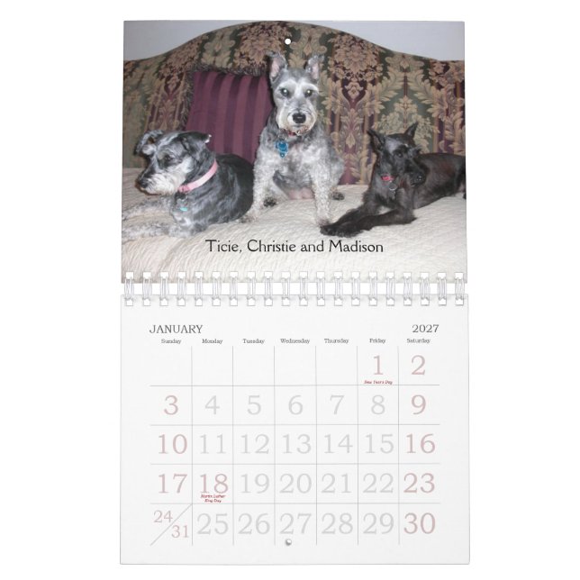 2011 SRM Calendar (Jan 2027)
