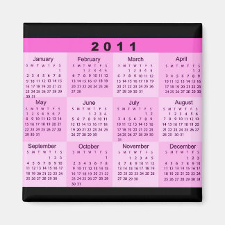 2011 Year at a Glance Calendar Magnet