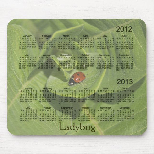 2012-2013 Ladybug Calendar Mousepad (Front)