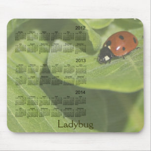 2012-2014 Ladybug Calendar Mousepad