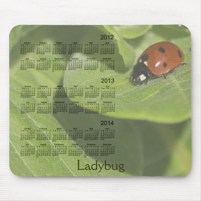 2012-2014 Ladybug Calendar Mousepad (Front)