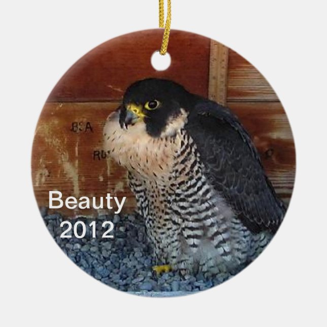 2012 Beauty Ornament (Front)